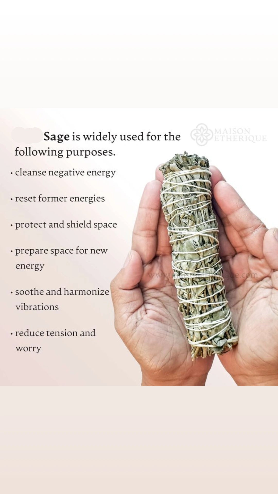 Purifying Sage for Home or Office