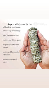 Purifying Sage for Home or Office